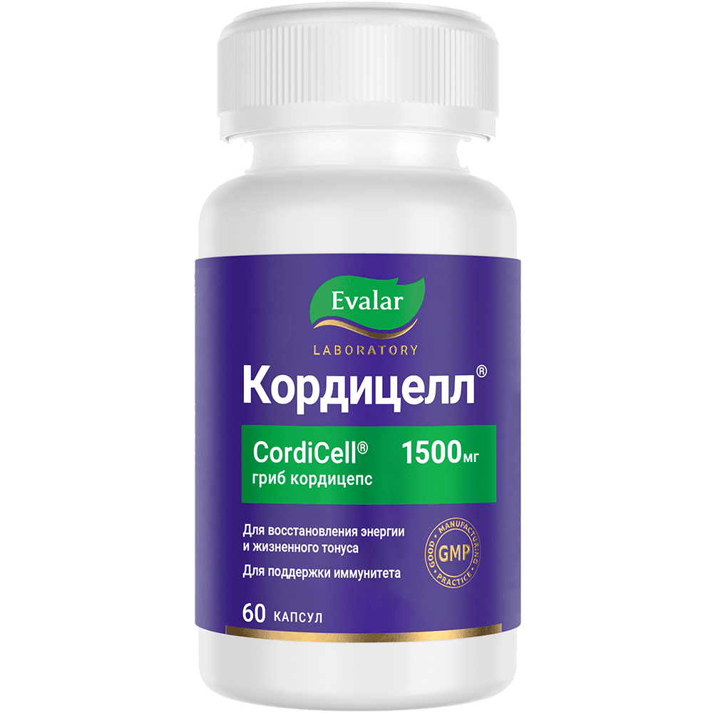 кордицелл мокап (1).png