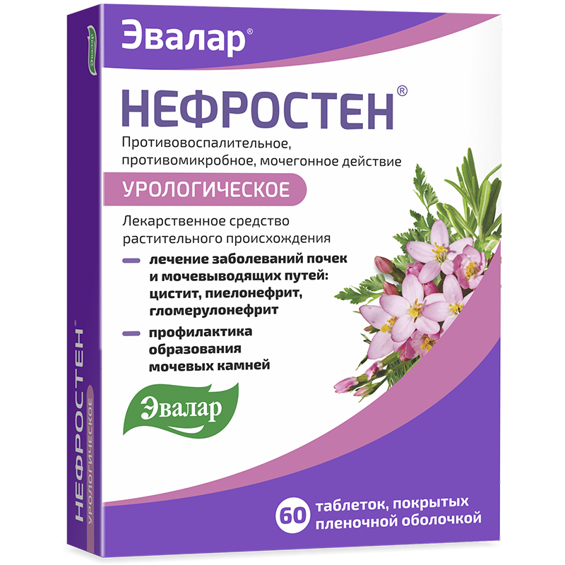 Нефростен.png